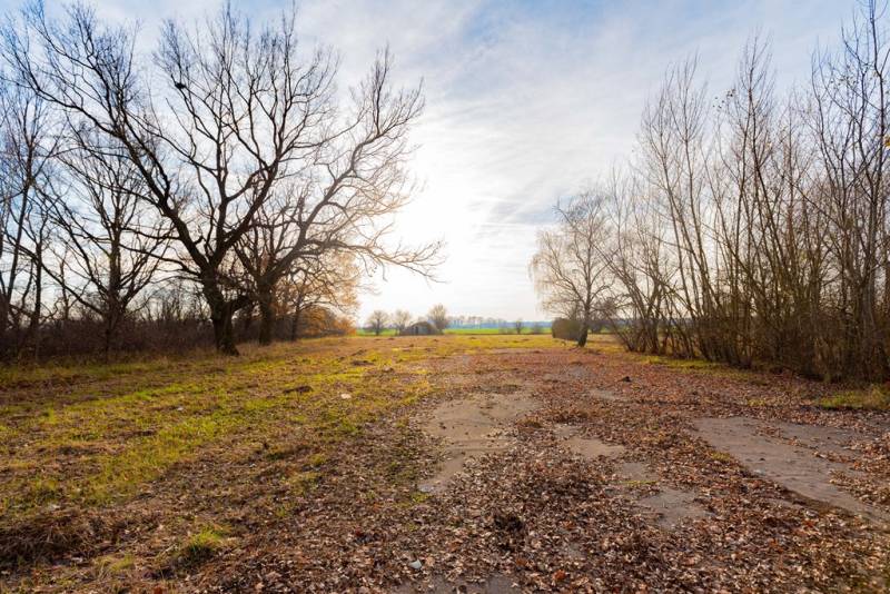 Predaj investičného pozemku - Stupava – extravilán- 13 804 m² - Krajina so stromami v Stupave na komerčných pozemkoch na Stupavskej ulici.