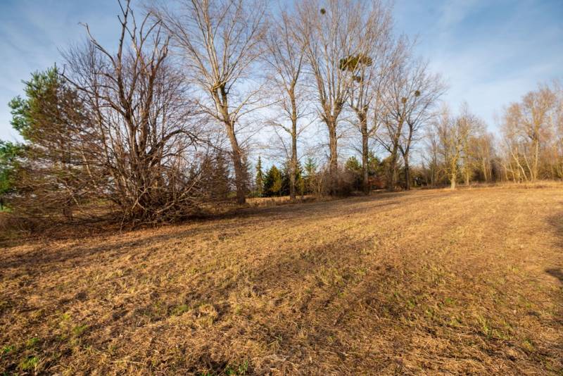 Predaj investičného pozemku - Stupava – extravilán- 13 804 m² - Zimná krajina v Stupave na ulici Stupava so stromami na komerčných pozemkoch.