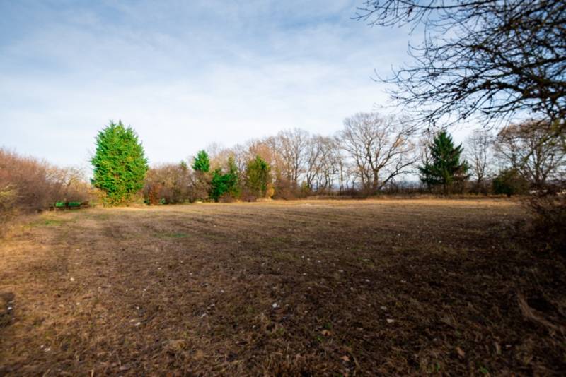 Predaj investičného pozemku - Stupava – extravilán- 13 804 m² - Pozemky - komerčné v Stupave, ulica Stupava. Zasnežené stromy na rozľahlej lúke.