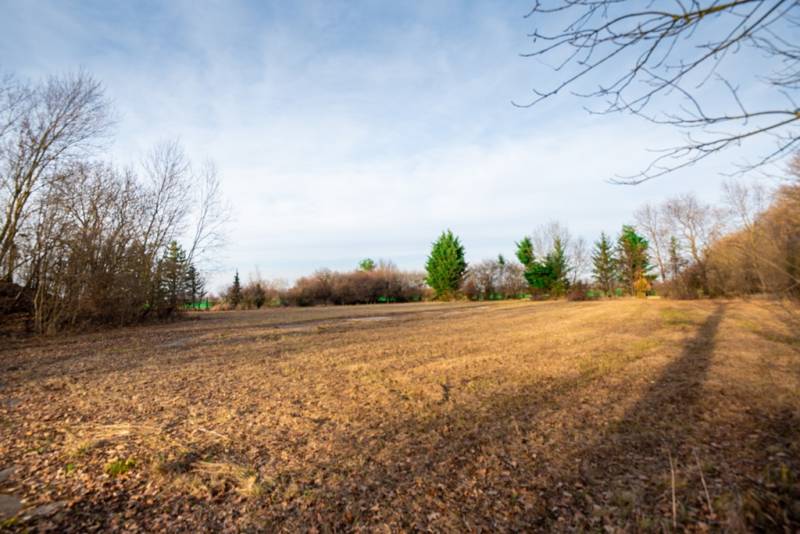 Predaj investičného pozemku - Stupava – extravilán- 13 804 m² - Pozemky - komerčné v Stupave na ulici Stupava, otvorené priestranstvo s okolitými stromami.