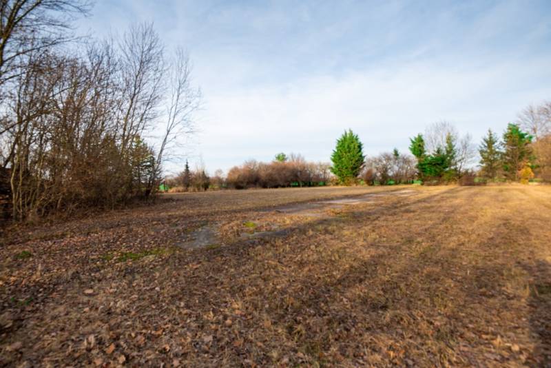 Predaj investičného pozemku - Stupava – extravilán- 13 804 m² - Pozemky - komerčné v Stupave na ulici Stupava, zarastené stromy a trávou.