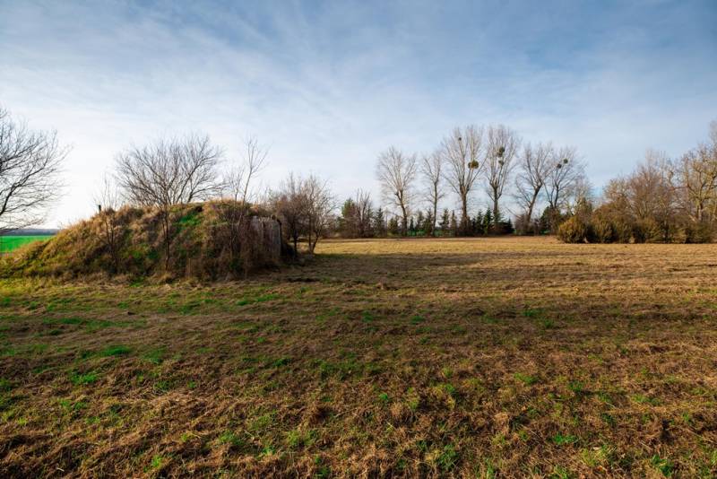 Predaj investičného pozemku - Stupava – extravilán- 13 804 m² - Trávnatý komerčný pozemok na ulici v Stupave so stromami a kríkom na pozadí.