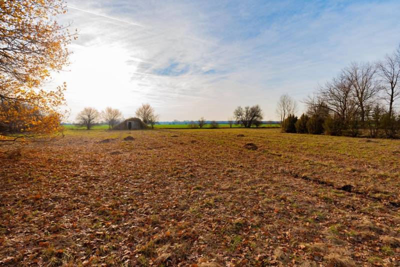 Predaj investičného pozemku - Stupava – extravilán- 13 804 m² - Komerčné pozemky v Stupave na Stupave s jesennou krajinou a stromami.