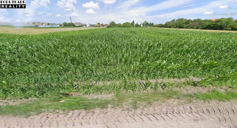 Predám pozemok v Mostovej - 2244m2  - Pozemky na bývanie blízko zelenej lúky na ulici Orechová, viditeľná príroda a domy.