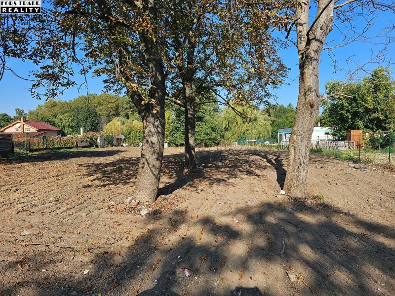 Predáme stavebný pozemok v obci Kajal - 3004m2 - vhodné na 5RD - Záber z ulice Jazerná ukazuje pozemky na bývanie s prírodnou scenériou a stromami.