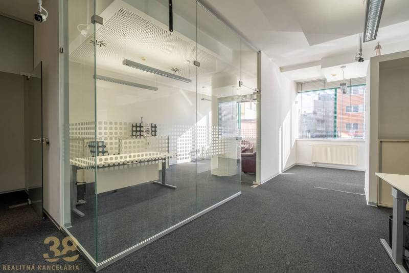 Reprezentatívne administratívne priestory na prenájom  - Kancelárie so sklenenými priečkami a kobercovou podlahou, jasné priestory a prirodzené svetlo.
