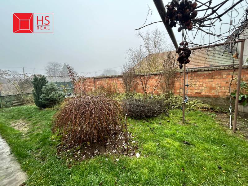 Predaj staršieho RD vo Dvoroch nad Žitavou - Záhrada rodinného domu na Bešeňovskej ulici v Dvoroch nad Žitavou s trávnikom a kríkmi.