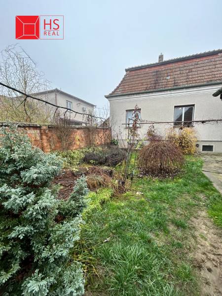 Predaj staršieho RD vo Dvoroch nad Žitavou - Záhrada vedľa rodinného domu na Bešeňovskej ulici v Dvoroch nad Žitavou s trávnikom a krami.