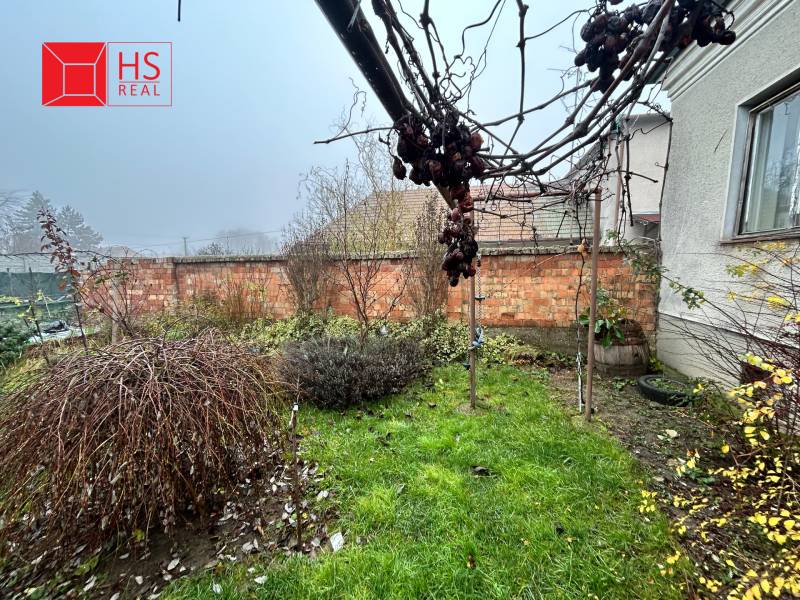 Predaj staršieho RD vo Dvoroch nad Žitavou - Záhrada pri rodinnom dome na Bešeňovskej ulici v Dvoroch nad Žitavou, vinič, trávnik.