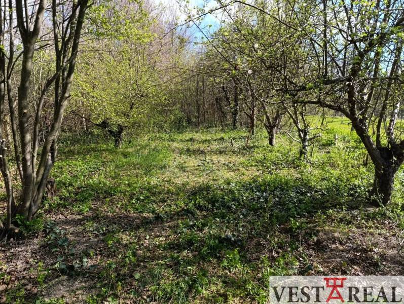 Na Predaj Rodinný dom pozemok 1587 m² v Horných Salibách  - Záhrada s trávou a stromami v blízkosti rodinných domov v Horných Salibách.