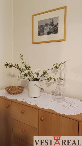 Na Predaj Rodinný dom pozemok 1587 m² v Horných Salibách  - Rodinný dom s kvetmi na komode, ozdobenou dečkou a obrazom na stene.