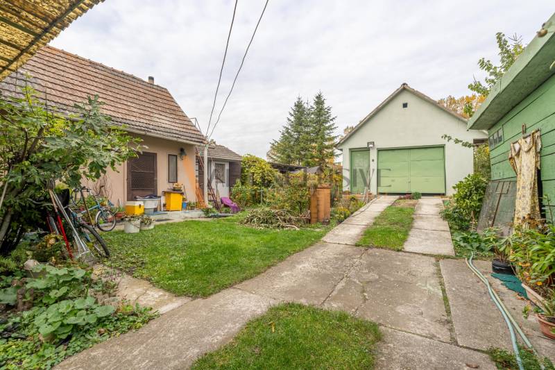 NA PREDAJ 4 IZBOVÝ RD S VEĽKÝM POZEMKOM,VEĽKÉ DVORNÍKY - Dvory rodinného domu vo Veľkých Dvorníkoch so zeleňou a hospodárskymi budovami.