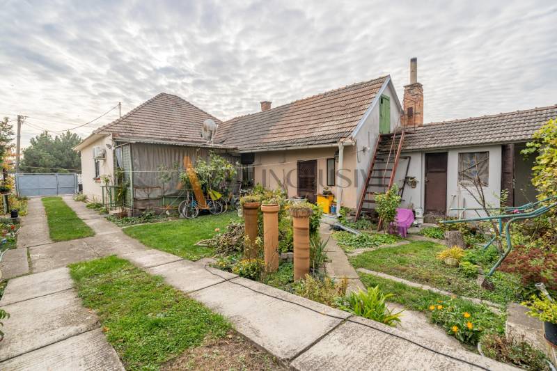 NA PREDAJ 4 IZBOVÝ RD S VEĽKÝM POZEMKOM,VEĽKÉ DVORNÍKY - Dvor rodinného domu vo Veľkých Dvorníkoch s trávnikom, rastlinami a budovami.