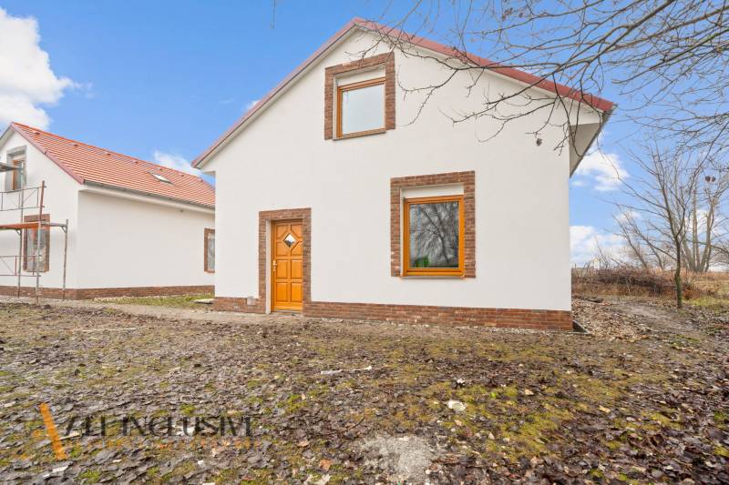 NA PREDAJ 4-IZBOVÉ RD – REZIDENČNÝ PROJEKT, GABČÍKOVO - Rodinné domy v Gabčíkove, s bielou fasádou, oknami a dverami v teplých tónoch.