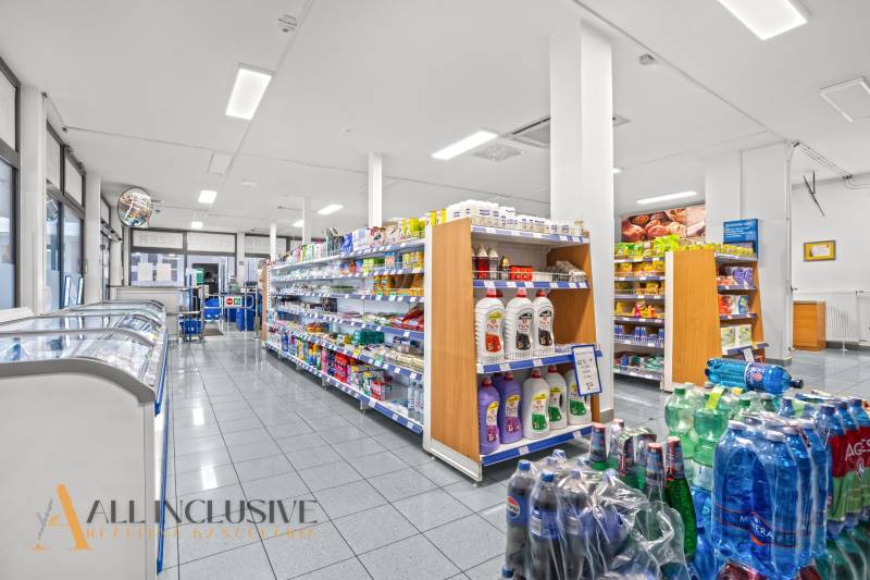 NA PRENÁJOM OBCHODNÝ PRIESTOR V DUNAJSKEJ STREDE - Obchodné priestory s regálmi a čistiacimi prostriedkami, podlaha s dreveným dekorom.