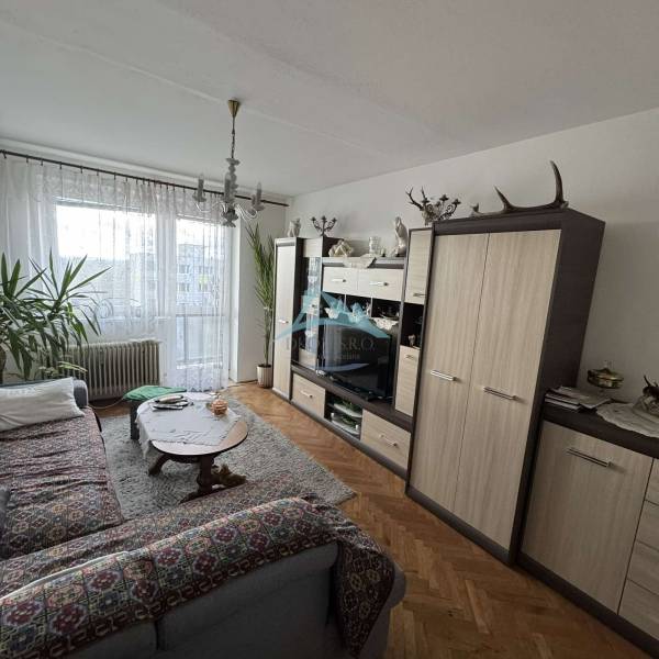 Nadštandardný 4-izbový tehlový byt po kompletnej Sahy - Obývačka v 4-izbovom byte s kobercami, rastlinami a podlahou s dreveným dekorom.