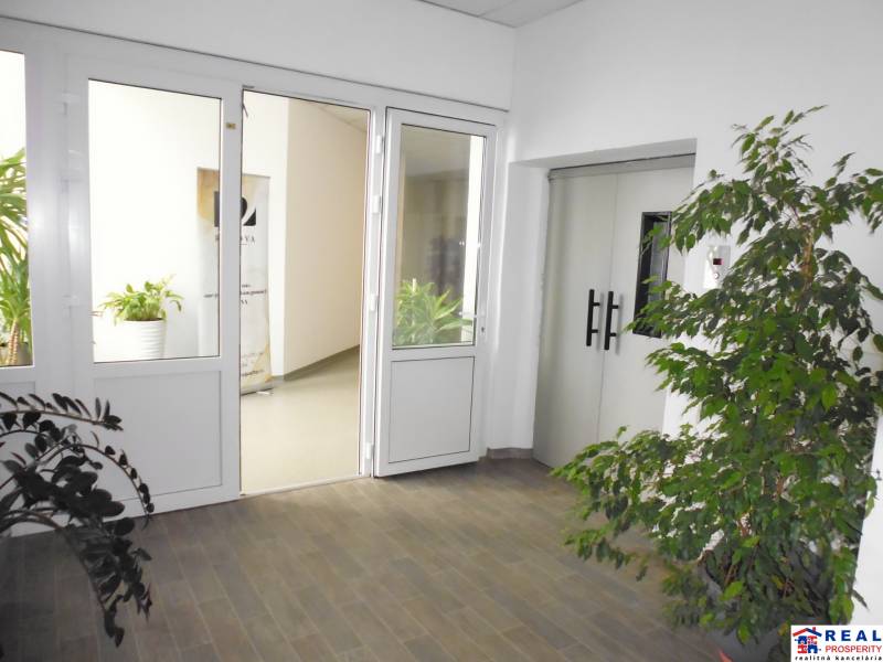 MASARYKOVA: Nebytové priestory 30 m2 - 3.posch., VÝŤAH, parkovanie - Kancelárie s bielymi dverami a kvetináčmi. Podlaha s dreveným dekorom.