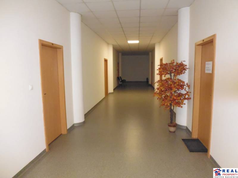 MASARYKOVA: Nebytové priestory 30 m2 - 3.posch., VÝŤAH, parkovanie - Chodba s umelým stromčekom a drevenými dverami v kanceláriách.