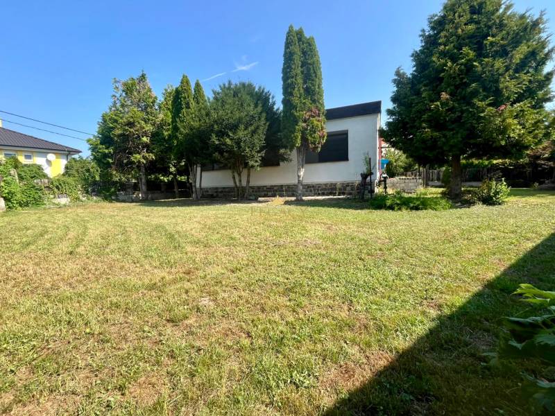 RD 4 izbový na veľkorysom pozemku, Ivanka pri Dunaji - Rodinný dom v Ivanke pri Dunaji obklopený záhradou s ihličnatými stromami.