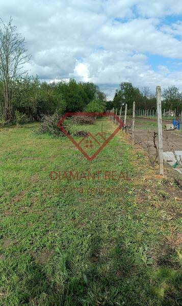 Na predaj RD na bývanie alebo investičná príležitosť Horné Saliby - Pozemok pri rodinnom dome na Salibskej ulici v Horných Salibách s trávnatou plochou a záhradou.