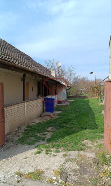 Na predaj RD na bývanie alebo investičná príležitosť Horné Saliby - Rodinný dom na Salibskej ulici v Horných Salibách s trávnikom a plechovým plotom.
