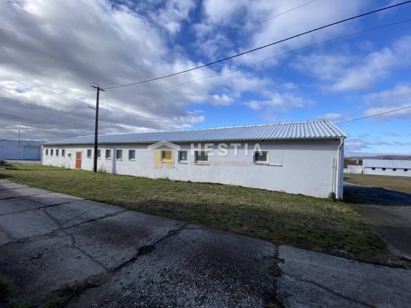 Na prenájom skladová hala, obec Rybky, okr. Senica - Biela budova skladov a hál v Rybkách, obklopená trávou a betónovým chodníkom.