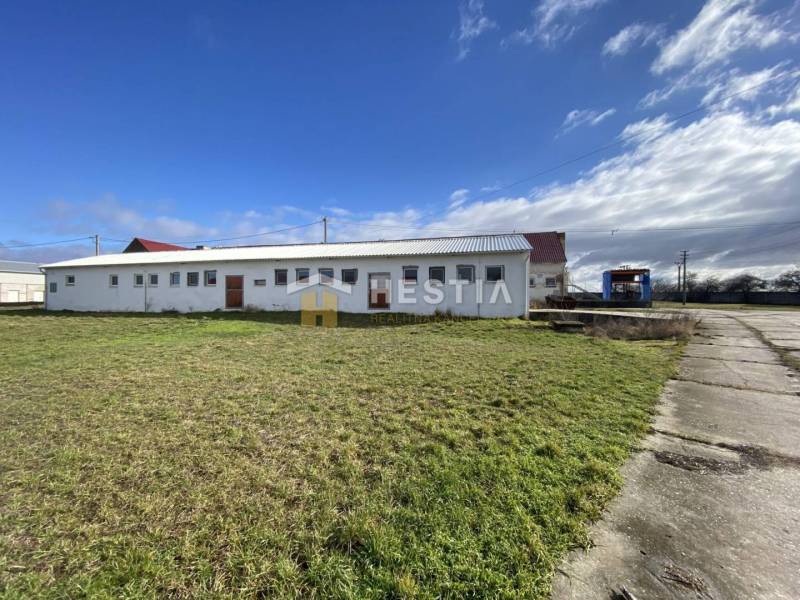 Na prenájom skladová hala, obec Rybky, okr. Senica - Sklady a haly v Rybkách obklopené zelenou plochou a betónovou cestou.