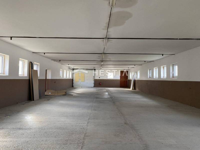 Na prenájom skladová hala, obec Rybky, okr. Senica - Rozsiahly priestor v skladoch a halách s radom okien a betónovou podlahou.