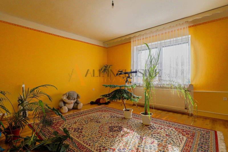 NA PREDAJ 7 IZBOVÝ RODINNÝ DOM, DUNAJSKÁ STREDA - Izba v rodinnom dome s rastlinami, koberec a podlaha s dreveným dekorom.