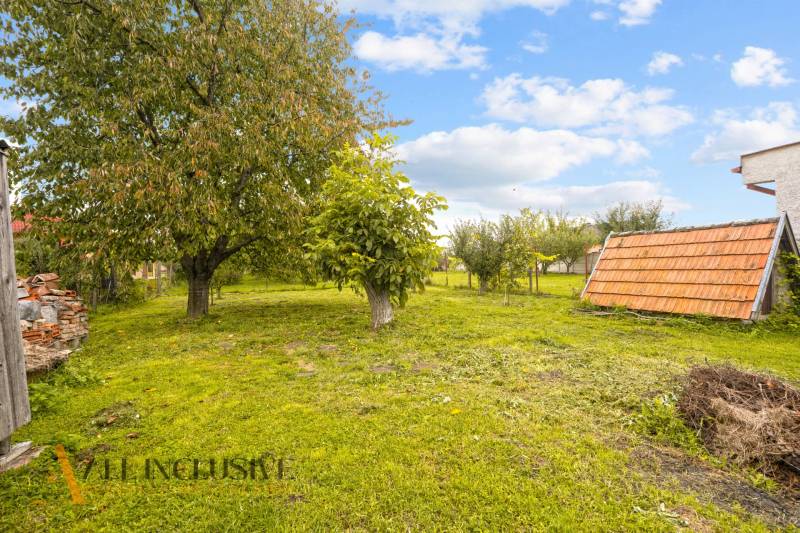 NA PREDAJ 2-IZBOVÝ RODINNÝ DOM S PODKROVÍM, BODÍKY - Záhrada rodinného domu v Bodíkoch s trávnikom a stromami, vedľa drevená chatka.
