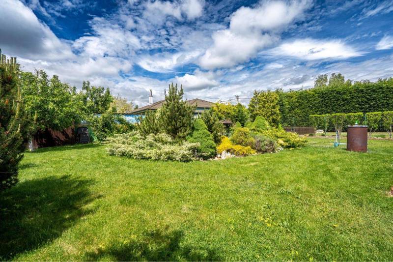 NA PREDAJ 3 IZBOVÝ RODINNÝ DOM, KĽÚČIAROVÉ KRAČANY - Záhrada v Rodinnom dome v Kráľovičových Kračanoch s trávnikom a okrasnými drevinami.