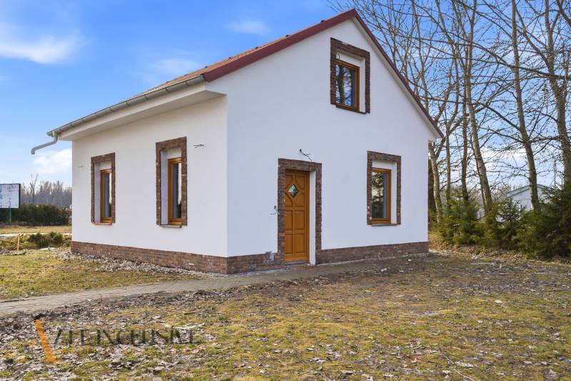 NA PREDAJ 4-IZBOVÉ RD – REZIDENČNÝ PROJEKT, GABČÍKOVO - Rodinný dom v Gabčíkove so šikmou strechou a tehlovými detailmi na fasáde.