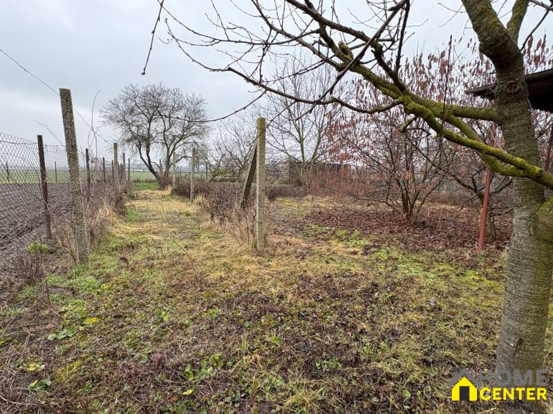 Exkluzívny PREDAJ 4 izbového rodinný domu s garážou, Zlatná na Ostrove - Záhrada pri rodinnom dome v Zlatnej na Ostrove s ovocnými stromami a oplotením.