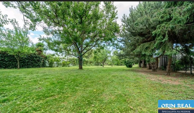 Na predaj stavebný pozemok na RD v Bernolákove 802m2 - Zeleň a stromy na pozemku na bývanie v Bernolákove na Okružnej.