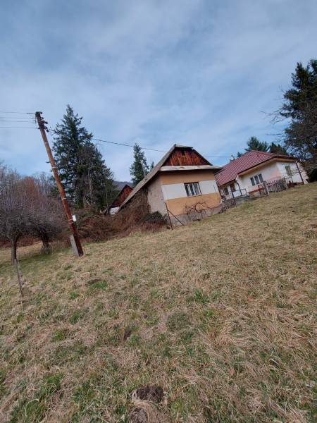 Hospodárska usadlosť s 3,6 hektárovým pozemkom na samote Nová Baňa - Rodinný dom v prírodnom prostredí, trávnatý pozemok, stromy, elektrický stĺp.