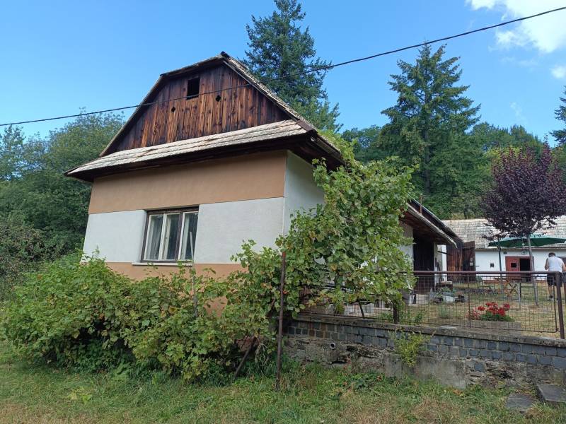 Hospodárska usadlosť s 3,6 hektárovým pozemkom na samote Nová Baňa - Vidiecky dom obklopený zeleňou, v pozadí lesná scenéria a strom.