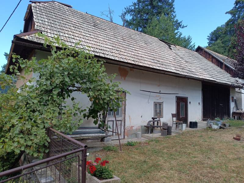 Hospodárska usadlosť s 3,6 hektárovým pozemkom na samote Nová Baňa - Rodinný dom s tradičnou strechou, viničom a pohostinným priestorom pred vstupom, príjemná atmosféra.