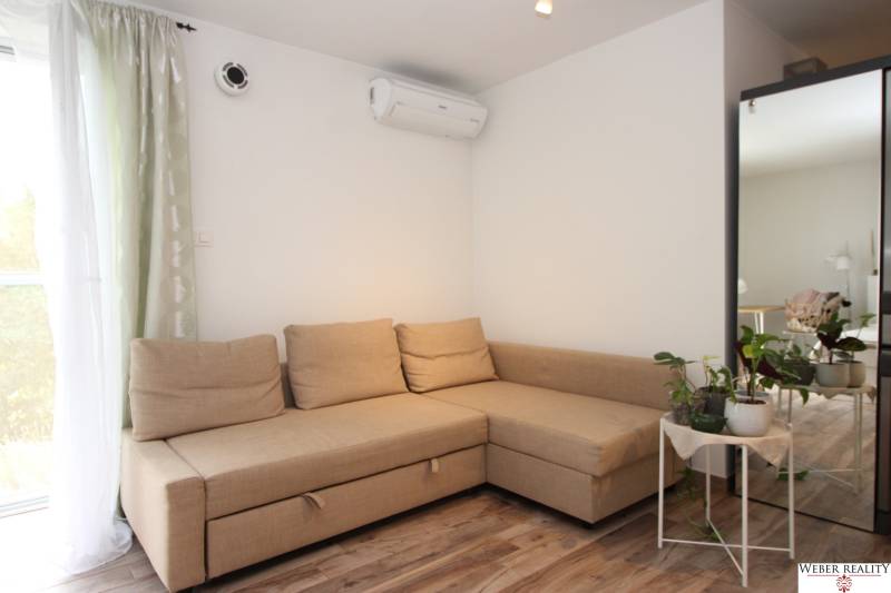 1-izb. kompletne zrekonštr.byt na Hradnom kopci (Lichardova ul.)  - Pohovka v 1-izbovom byte s kvetinami, zrkadlom a podlahou s dreveným dekorom.