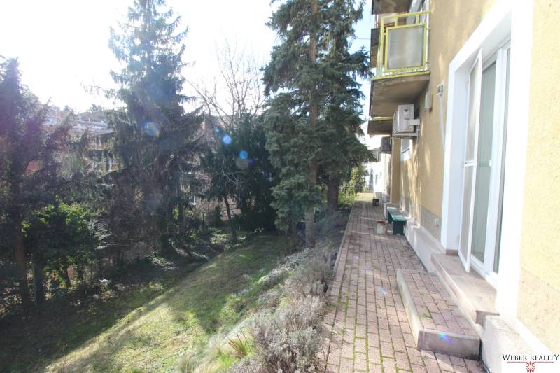 1-izb. kompletne zrekonštr.byt na Hradnom kopci (Lichardova ul.)  - Exteriér s chodníkom a stromami v lokalite Bratislava - Staré Mesto na Lichardovej ulici.