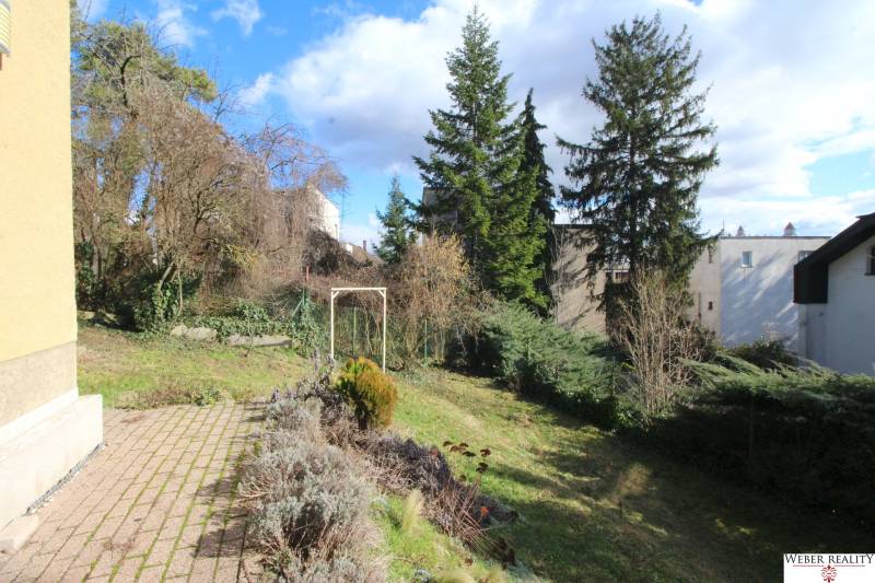 1-izb. kompletne zrekonštr.byt na Hradnom kopci (Lichardova ul.)  - Záhrada pri dome s ihličnanmi na ulici Lichardova v Bratislave - Starom Meste.