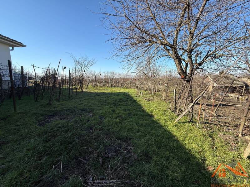 Výborná investícia! Pozemok so starým rodinným domom Svätý Peter - Pozemok na Cintorínskej ulici v Svätom Petre s viničom a stromami.