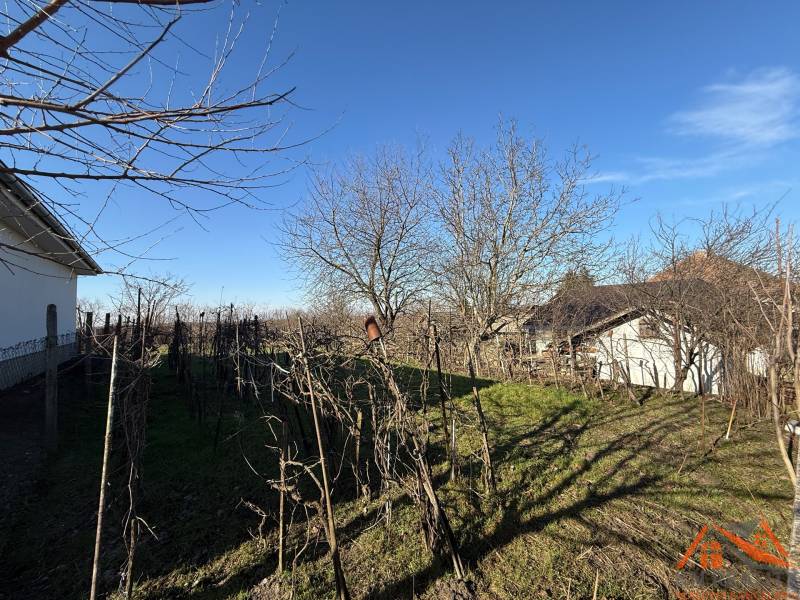 Výborná investícia! Pozemok so starým rodinným domom Svätý Peter - Pozemok na bývanie na Cintorínskej ulici v Svätom Petri s ovocnými stromami.