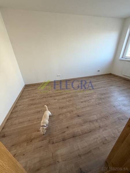Na predaj 2 izbový byt GEENSIDE Trebišov - Izba v 2-izbovom byte s podlahou s dreveným dekorom a malým psom.