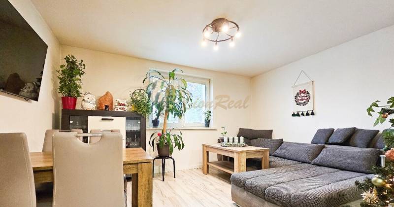 Rodinný dom v obci Bernolákovo, po kompletnej rekonštrukcii - Obývacia izba s pohovkou, jedálenským stolom, izbovými rastlinami a podlahou s dreveným dekorom.