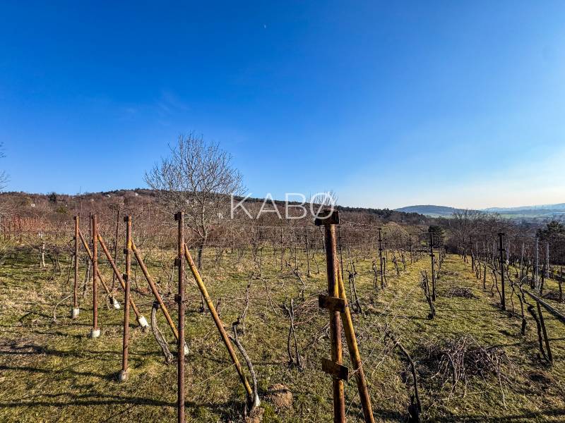 Na predaj  vinica v krásnej lokalite - 895 m2 - Nitra - Vinice na Ambrovej ulici v Nitre s výhľadom na okolitú krajinu.