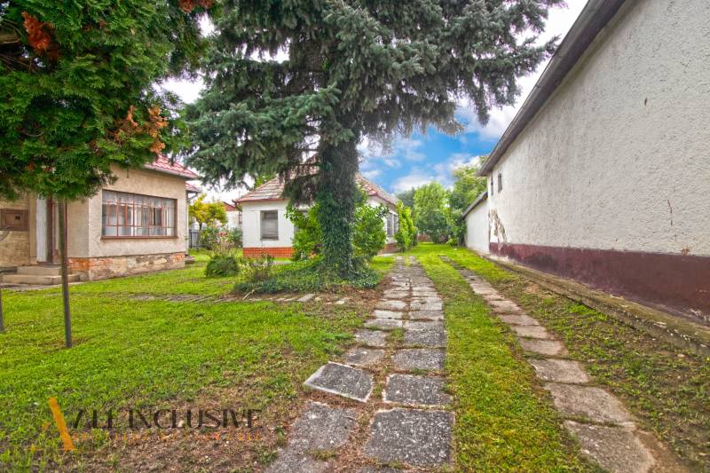 NA PREDAJ 2 ROD. DOMY NA 12-ÁROVOM POZEMKU, MALÁ MAČA - Záhrada pri rodinnom dome na ulici Malá Mača v Galante s veľkým stromom a chodníkom.