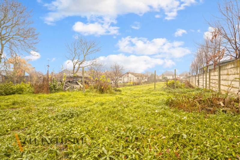 NA PREDAJ 4-IZBOVÝ RODINNÝ DOM V OBCI MOSTOVÁ - Záhrada v rodinnom dome Mostovej s trávnikom, stromami a modrou oblohou.