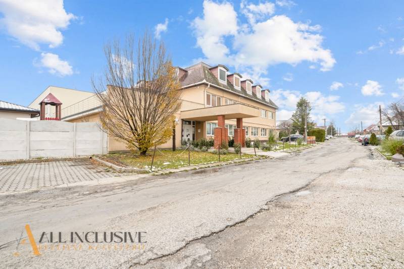 NA PREDAJ ŠKOLSKÁ BUDOVA NA VEĽKOM POZEMKU, MOSTOVÁ - Budova v Mostovej so stromom v popredí a parkoviskom na pravej strane.