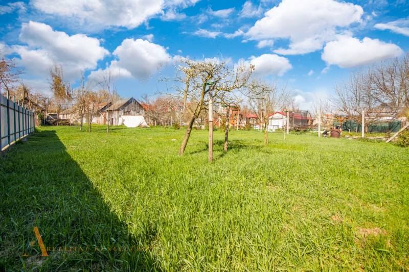 NA PREDAJ 4-IZBOVÝ RODINNÝ DOM NA PRIESTRANNOM POZEMKU - Na obrázku je záhrada s trávnikom a stromy pri *rodinnom dome*.