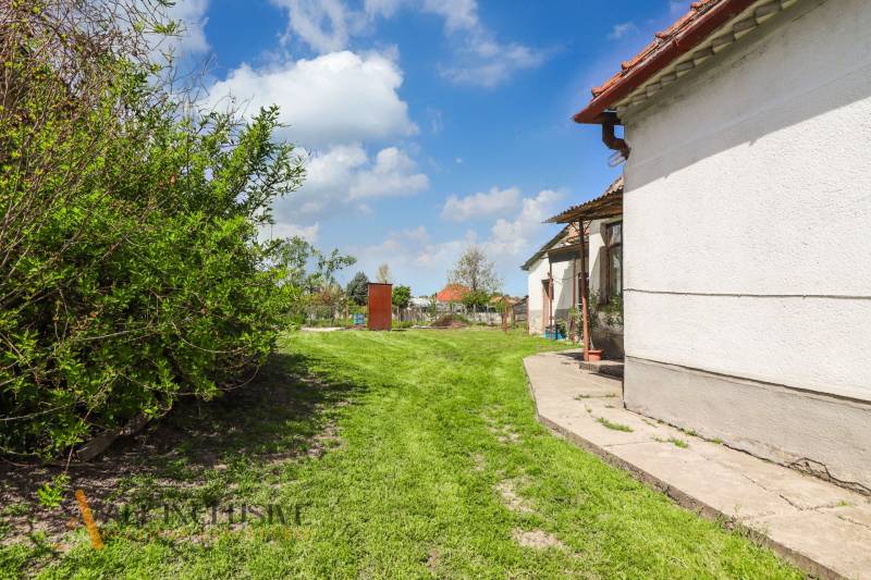 NA PREDAJ RODINNÝ DOM NA 9,5 ÁROVOM POZEMKU, OHRADY - Záhrada rodinného domu v Dunajskej Strede na ulici Ohrady s trávnikom a stromami.